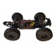 BLACK BULL EXTREME BRUSHLESS 1/10